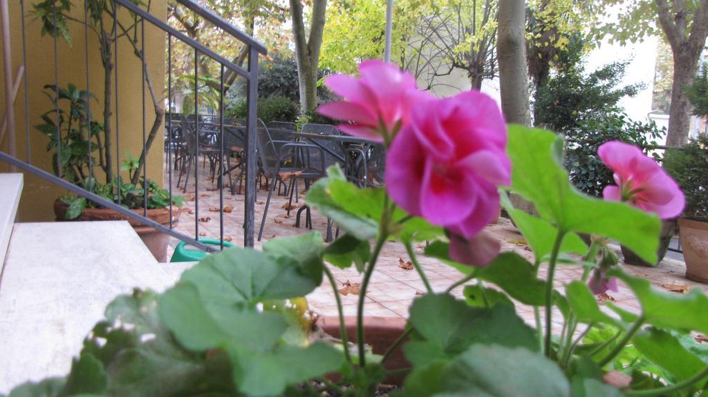 Albergo La Primula เคียนเชียโนแตร์เม ภายนอก รูปภาพ